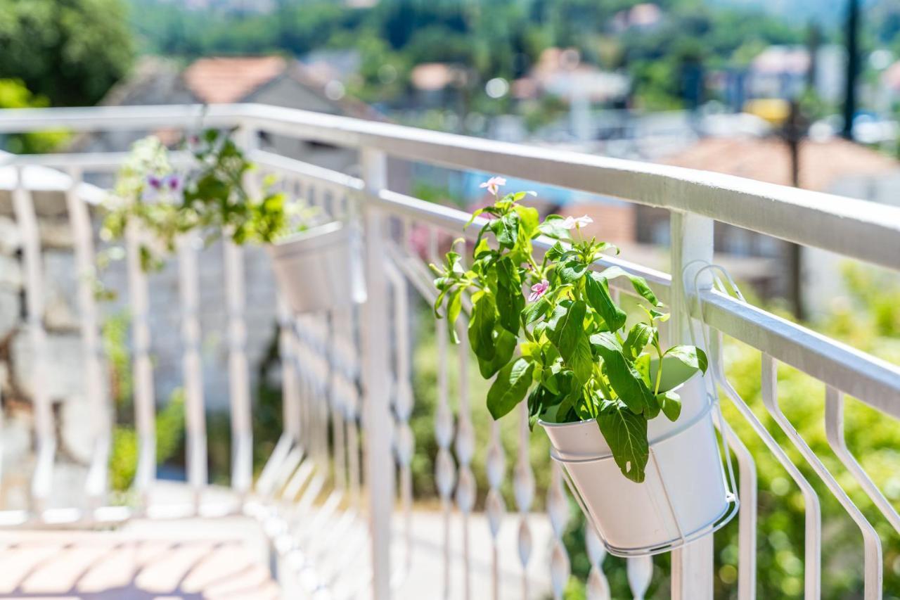 Apartment House Of Artichoke With Amazing Sea View, Dubrovnik Мокошица Экстерьер фото