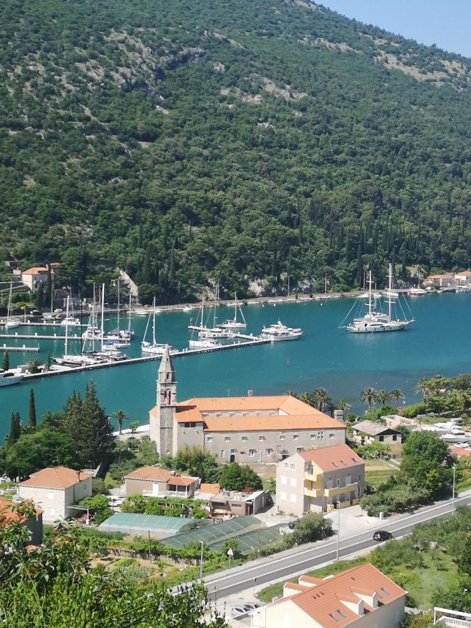 Apartment House Of Artichoke With Amazing Sea View, Dubrovnik Мокошица Экстерьер фото